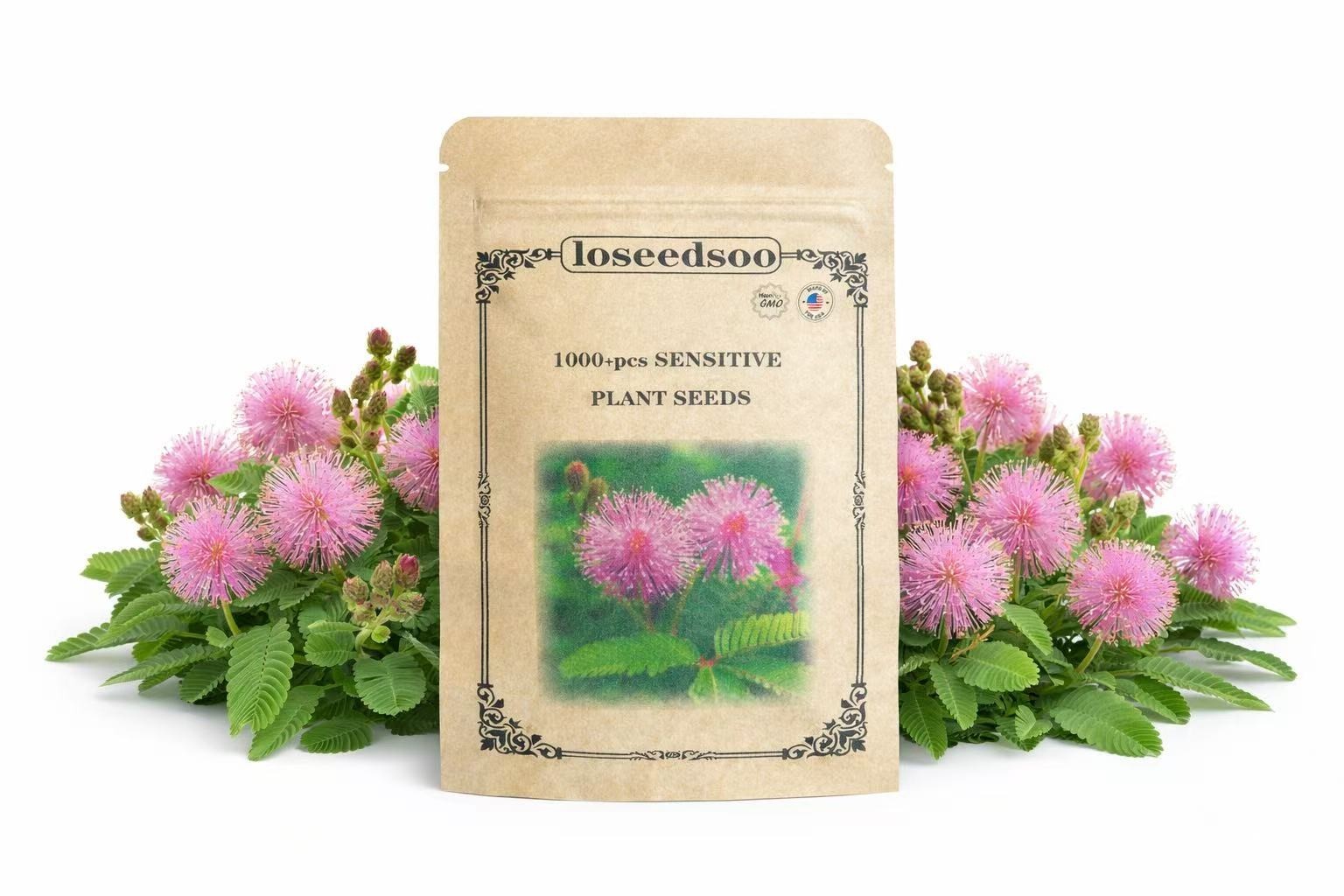 1000+ Sensitive Plant Seeds for Planting – Mimosa Pudica Touch Me Not Seeds gallery
