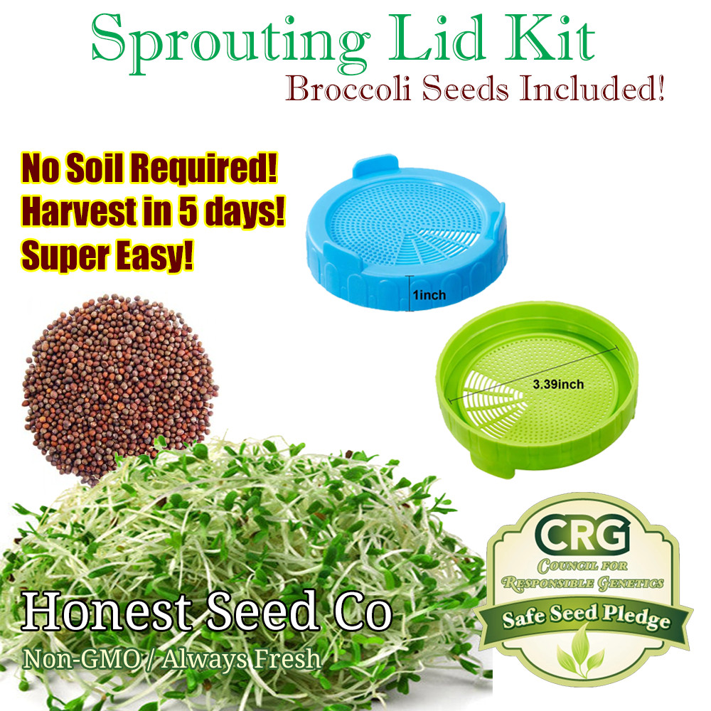 Sprouting Lid Kit w/ Broccoli Seeds | Non-GMO | Includes 2 Lids + Broccoli Seeds gallery