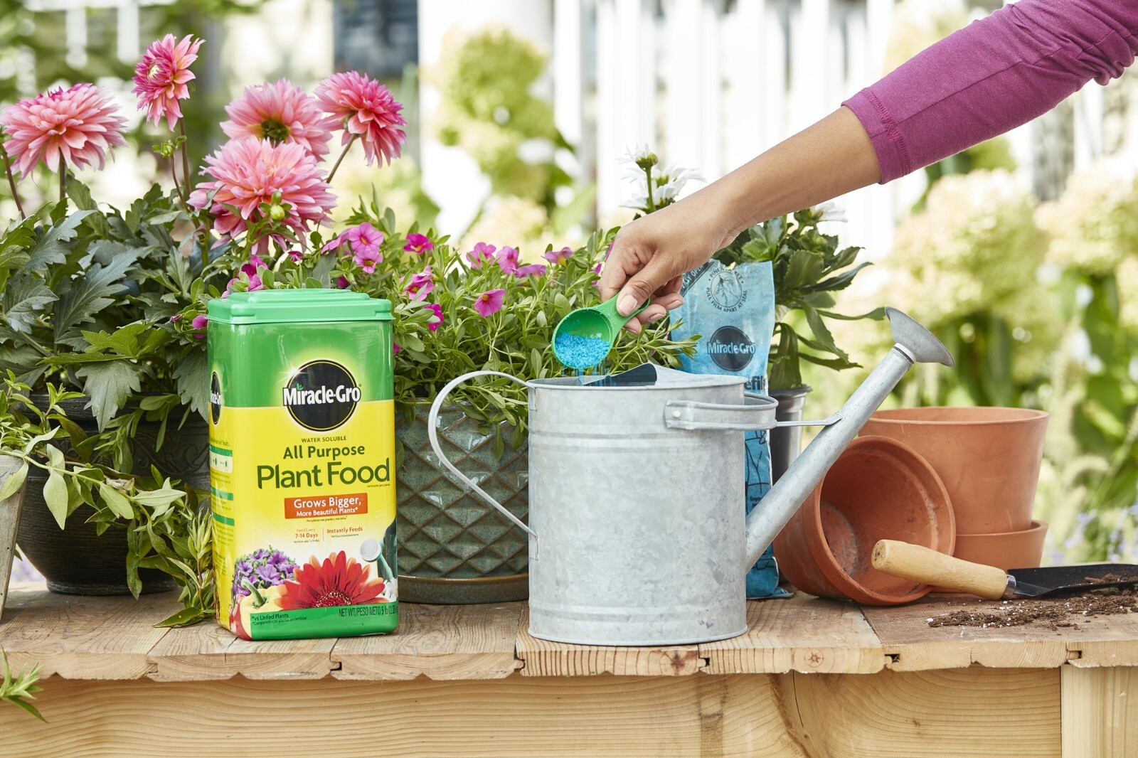 Miracle-Gro Water Soluble All Purpose Plant Food gallery