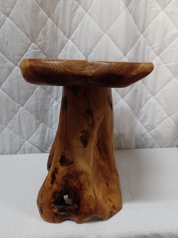Tree Stump Stool Natural Edge Side Table, Plant Stand, Much More. L-57 gallery
