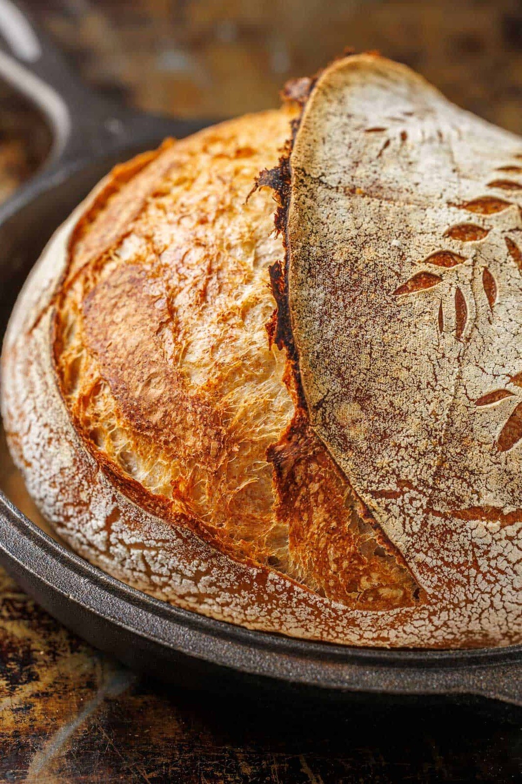 FREE SHIPPING Sourdough Starter Verified Live Boston - 221yr Old TOP SELLER! gallery