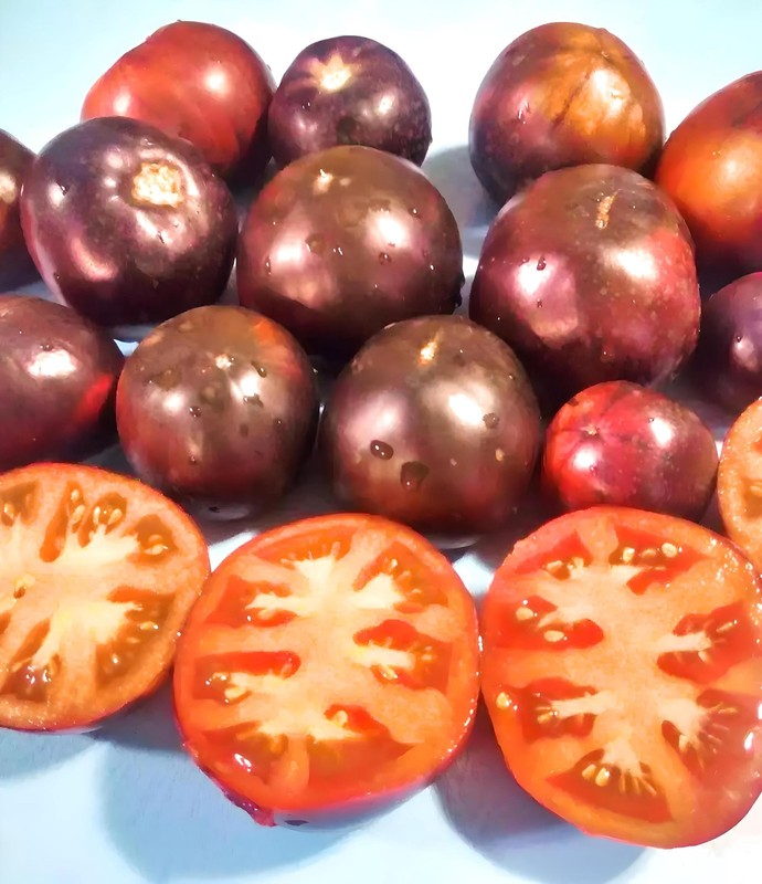 Black Beauty, Tomato gallery