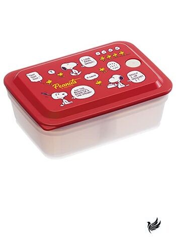 Skater (SKATER) Bento Box Box Antibacterial 600ml Packing integrated air valve gallery