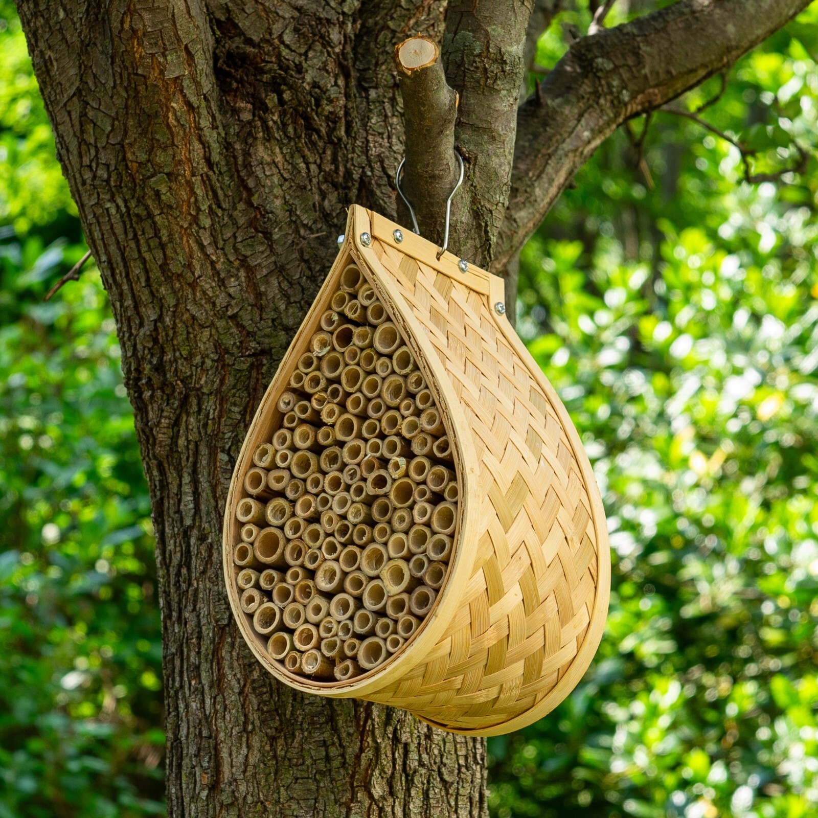 Made Easy Kit Mason Bee House Insect Home and Hive gallery