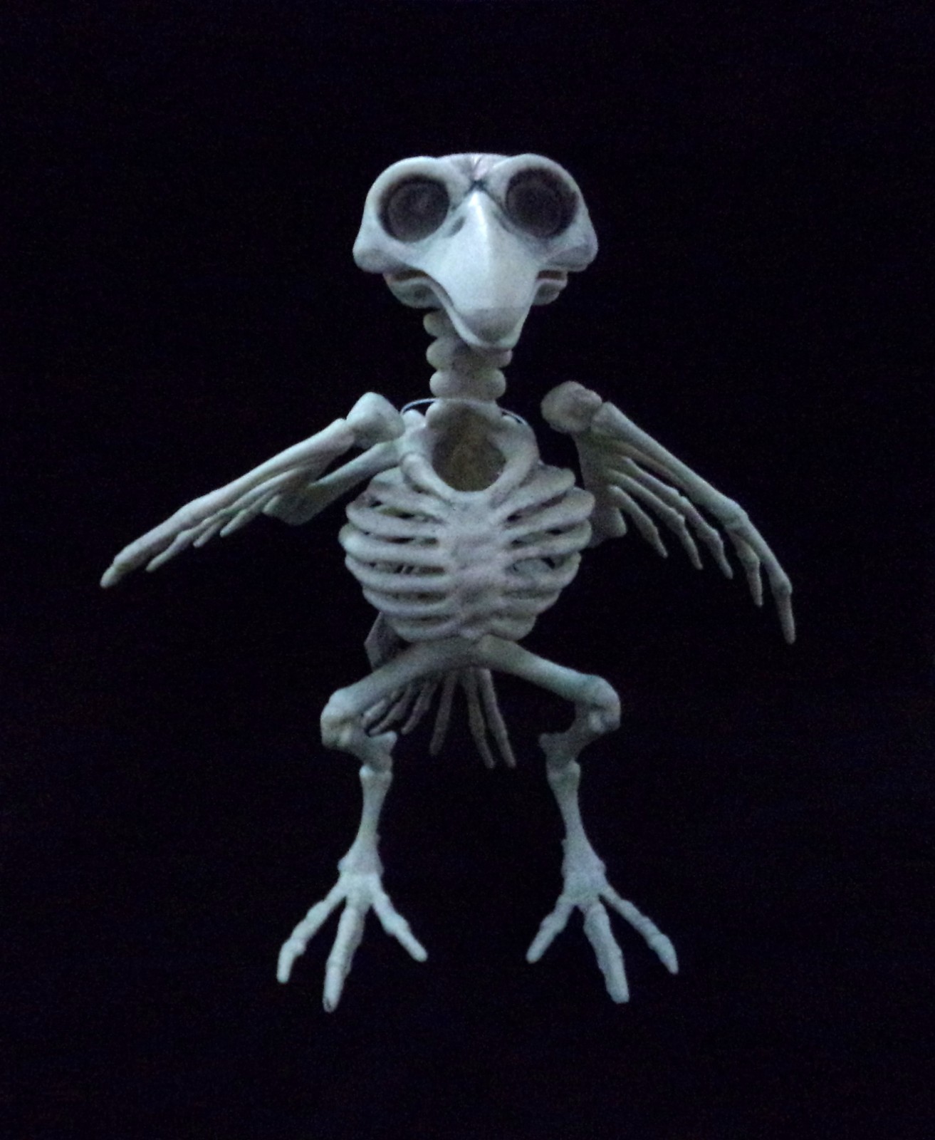 FORUM 8" CROW/RAVEN SKELETON FIGURE PROP ACCESSORY w/MOVEABLE LIMBS & JAW 79284 gallery