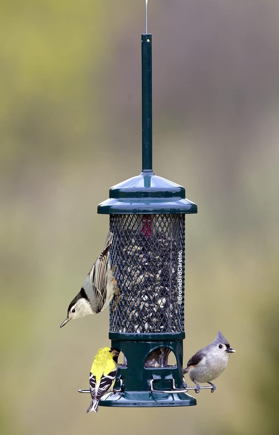 NEW! Brome Squirrel Buster Standard Bird Feeder 9073 Squirrel Proof Free Ships gallery