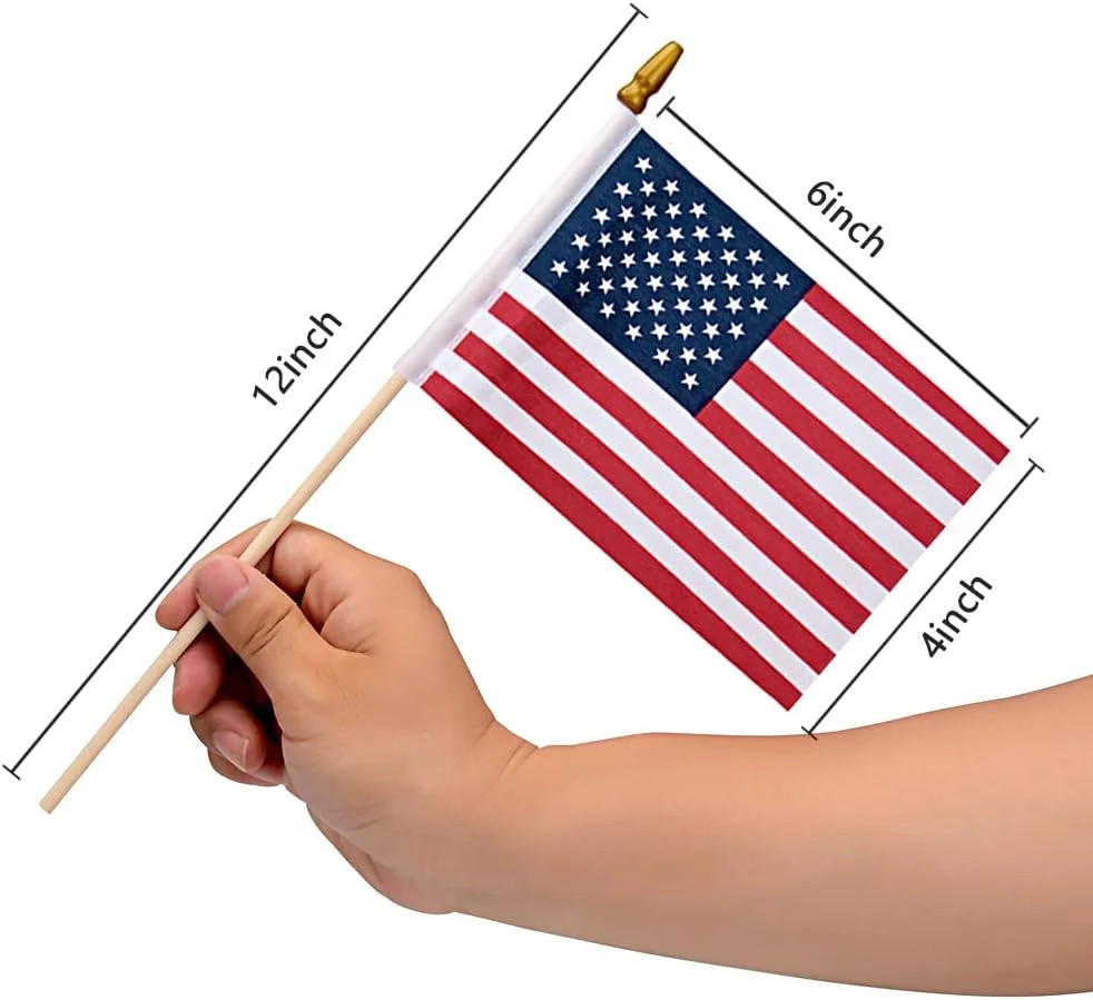 12 Pack Small American Flags on Stick Small US Flags/Mini American Flags for Out gallery