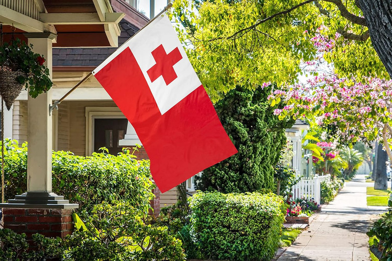 DANF Tonga Flag 3X5 Ft Thick Polyester, Fade Resistant, Brass Grommets, Canvas H gallery