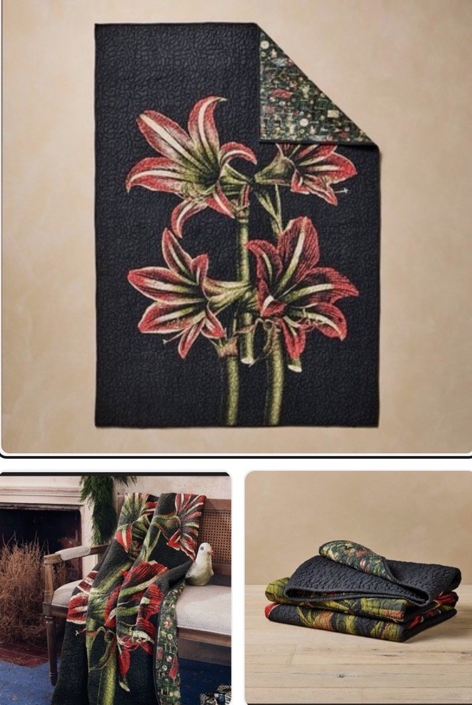John Derian Company Quilted Throw Blanket 50x70” | Target Holiday, Floral | NEW! gallery