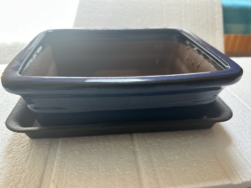 8" Rectangular Navy Blue Bonsai/Succulent Pot + Tray gallery