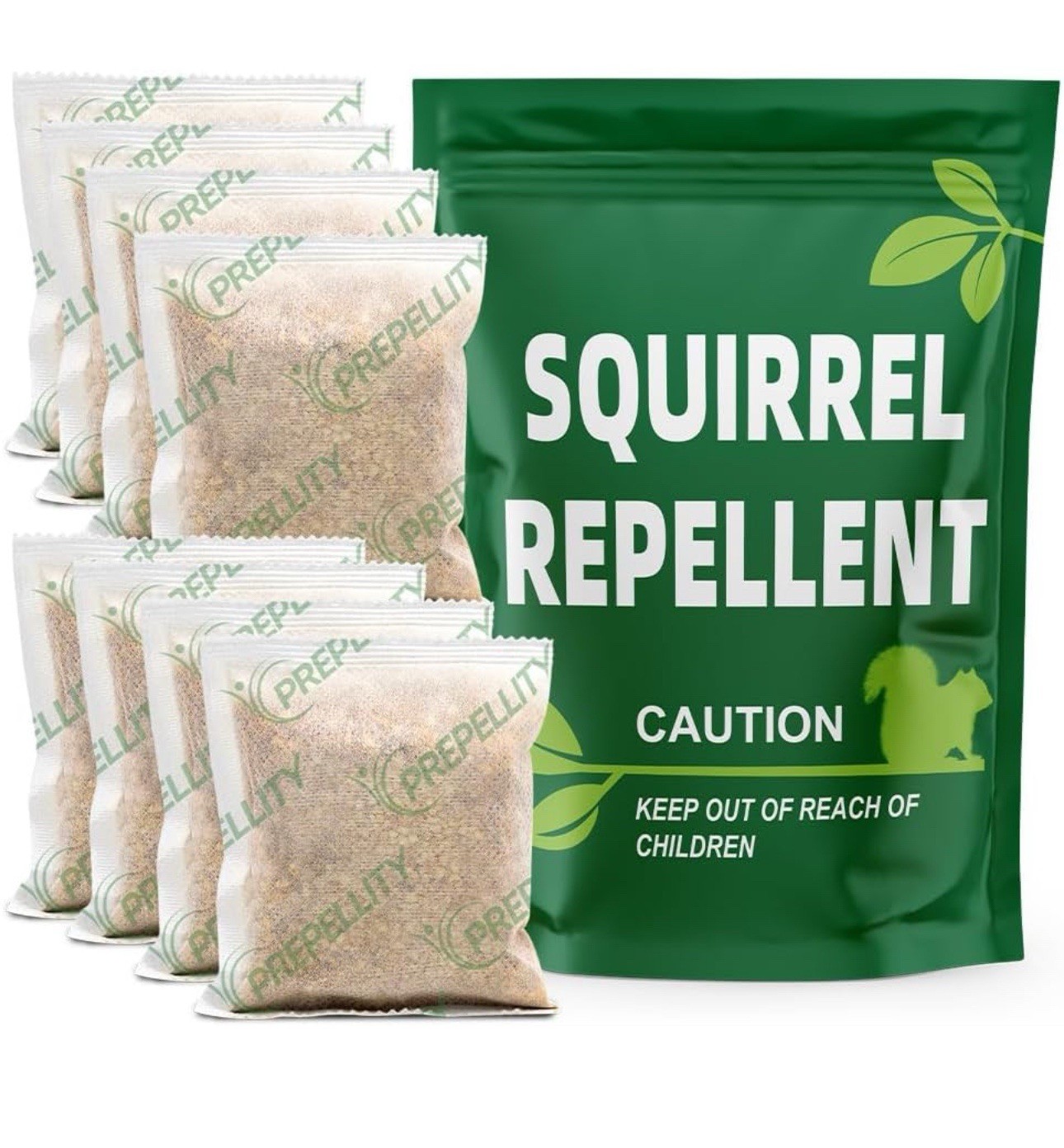 2-Pouches Squirrel, Outdoor Chipmunk gallery
