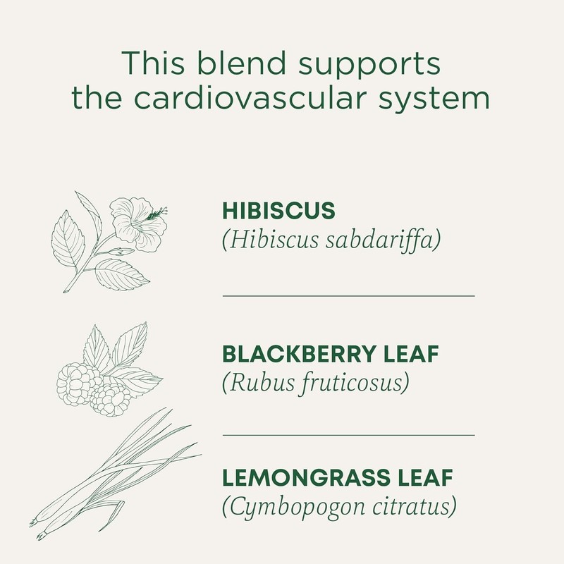 Mindfully-Made Organic Hibiscus Tea – 16 Count – Supports Heart Health Naturally gallery