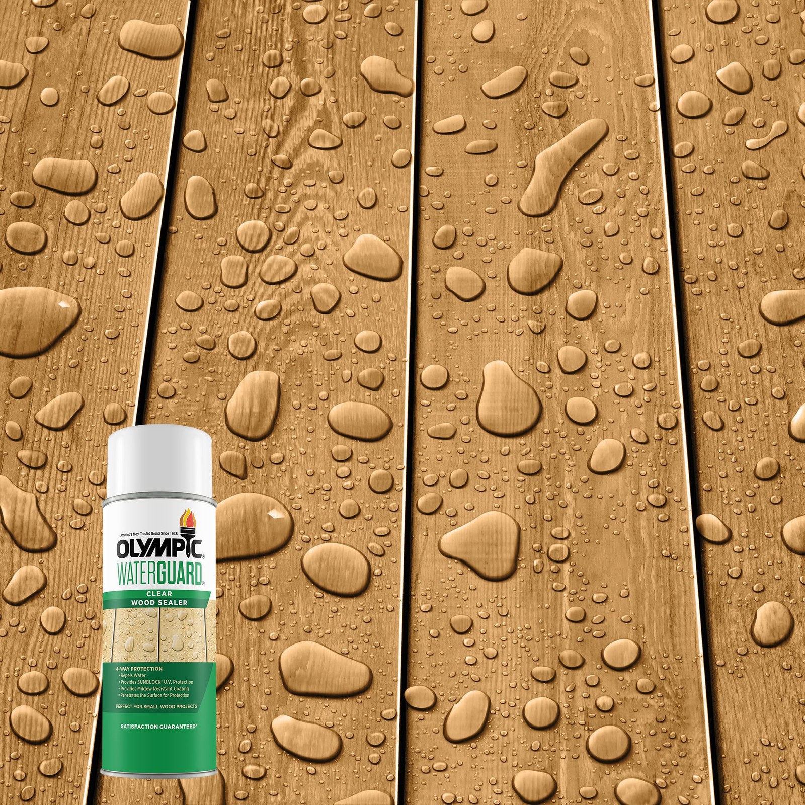 WaterGuard 11 oz. Clear Exterior Waterproofing Wood Sealer Spray gallery
