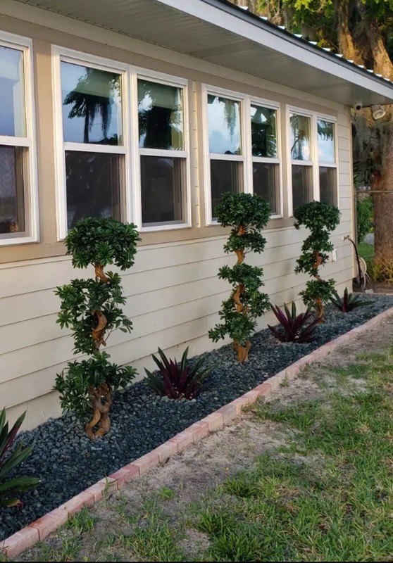 5’ Artificial Pittispourm Tree UV (Indoor/Outdoor) Home Decor. Retail $324 gallery