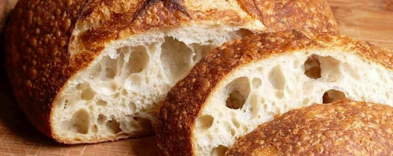 extremely sour and active sourdough starter yeast THE BEAST bonanza gallery