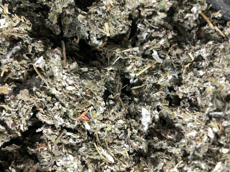 Red Raspberry Leaf ORGANIC cut Wild Crafted￼ rubus idaeus Bulk Herb 1 Lb pound gallery