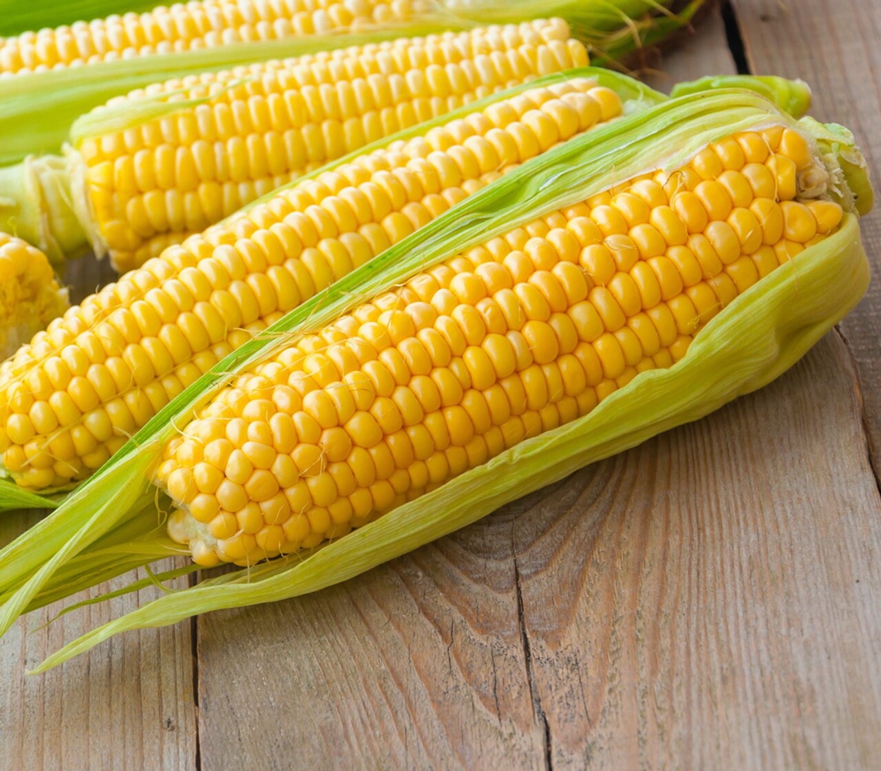 🌽 Premium Kandy Korn Seeds 🍬Sweetest corn in the world!🌽No isolation! SE gallery