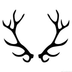 Deer Rack – Decal Sticker – Multiple Colors & Sizes – ebn6719