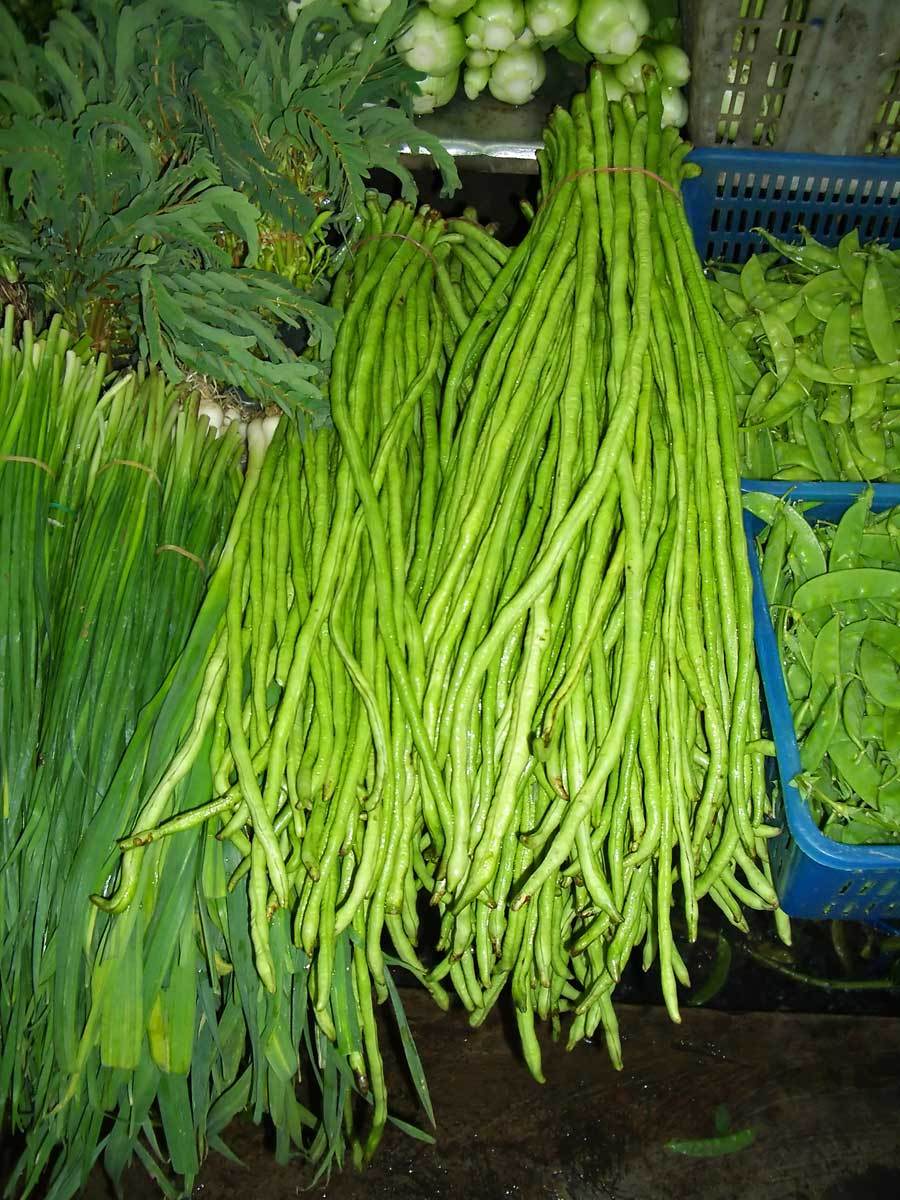 bean, YARD LONG BEANS, pole type, Green 15 seeds! GroCo made in US buy USA gallery