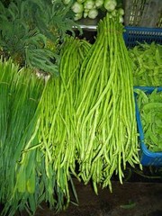 bean, YARD LONG BEANS, pole type, Green 15 seeds! GroCo made in US buy USA