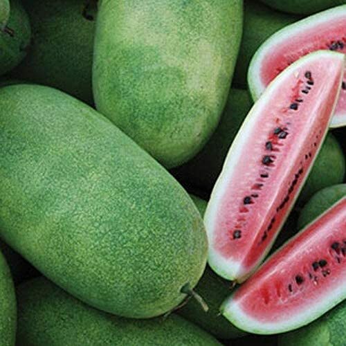 Charleston Grey Watermelon Seeds | Heirloom / Non-GMO | Free Shipping | 1047 gallery