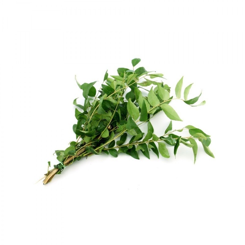 Curry Leaves Fresh & Dried (Murraya Koenigii) Quality Organic Natural Free 2022 gallery