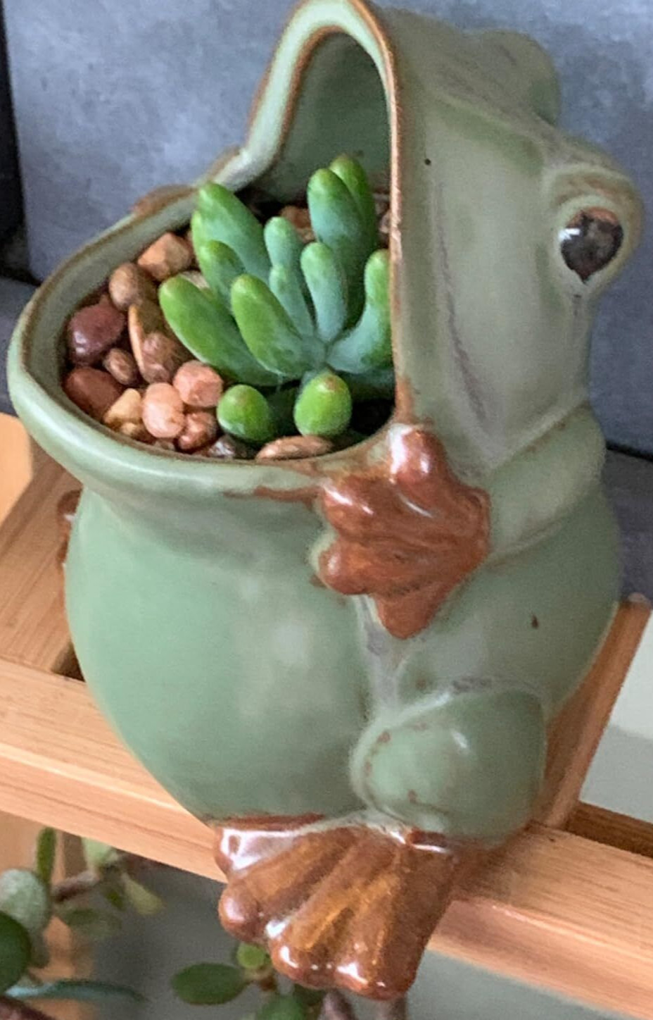 Ceramic Frog Shaped Plant Pot Bonsai Pot Flower Pot Succulent Planter gallery