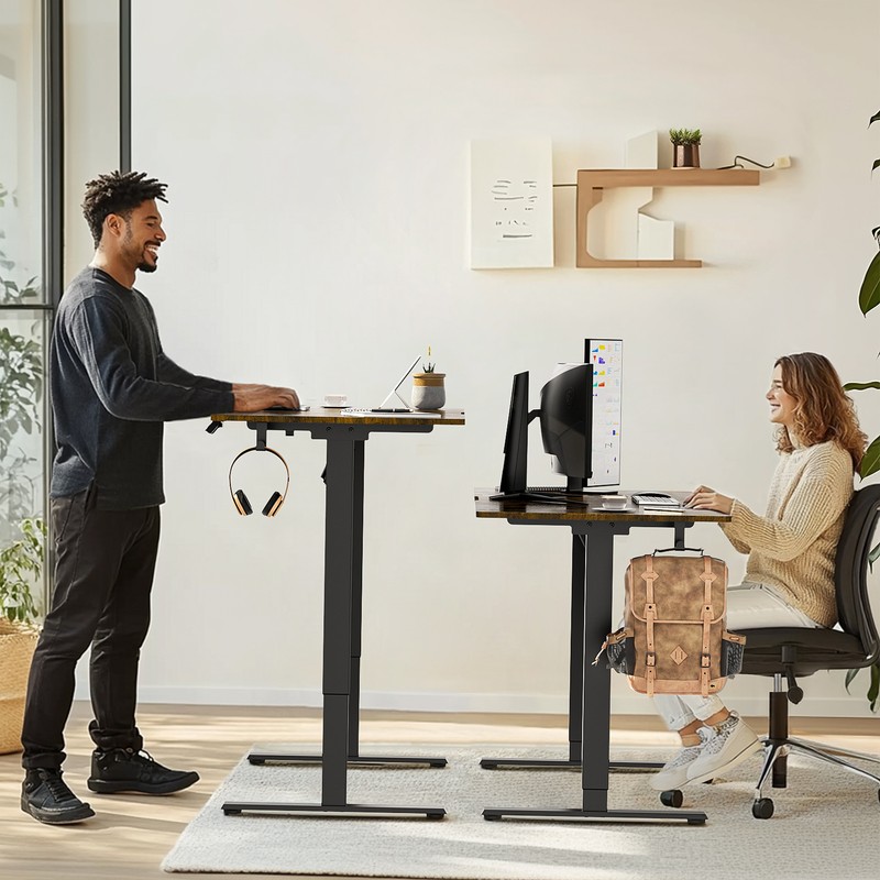 48/55/63" Brown Height Adjustable Electric Standing Desk Home Office Table/Frame gallery