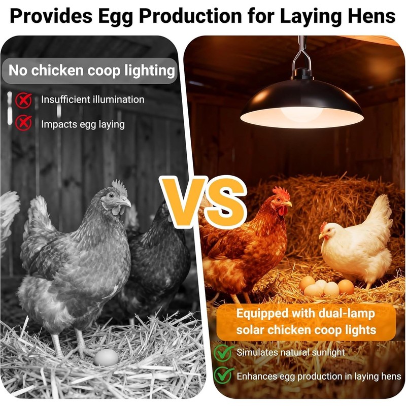 Solar-Powered Chicken Coop Light for Winter Use Outdoor Use in Sheds, Barns gallery