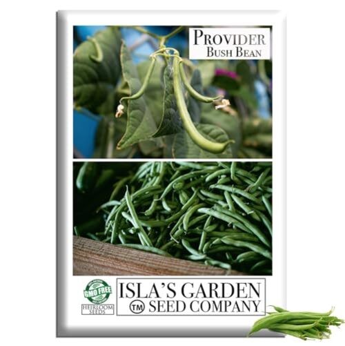 Provider Bush Green Bean Seeds (Phaseolus vulgaris) – 30+ Non-GMO Heirloom by gallery