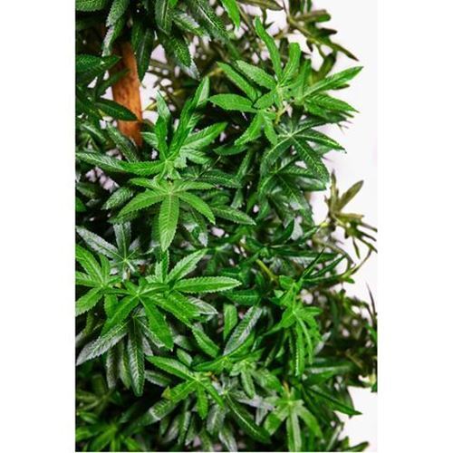 Artificial Fake Marijuana Leaf Christmas Tree Weed gallery