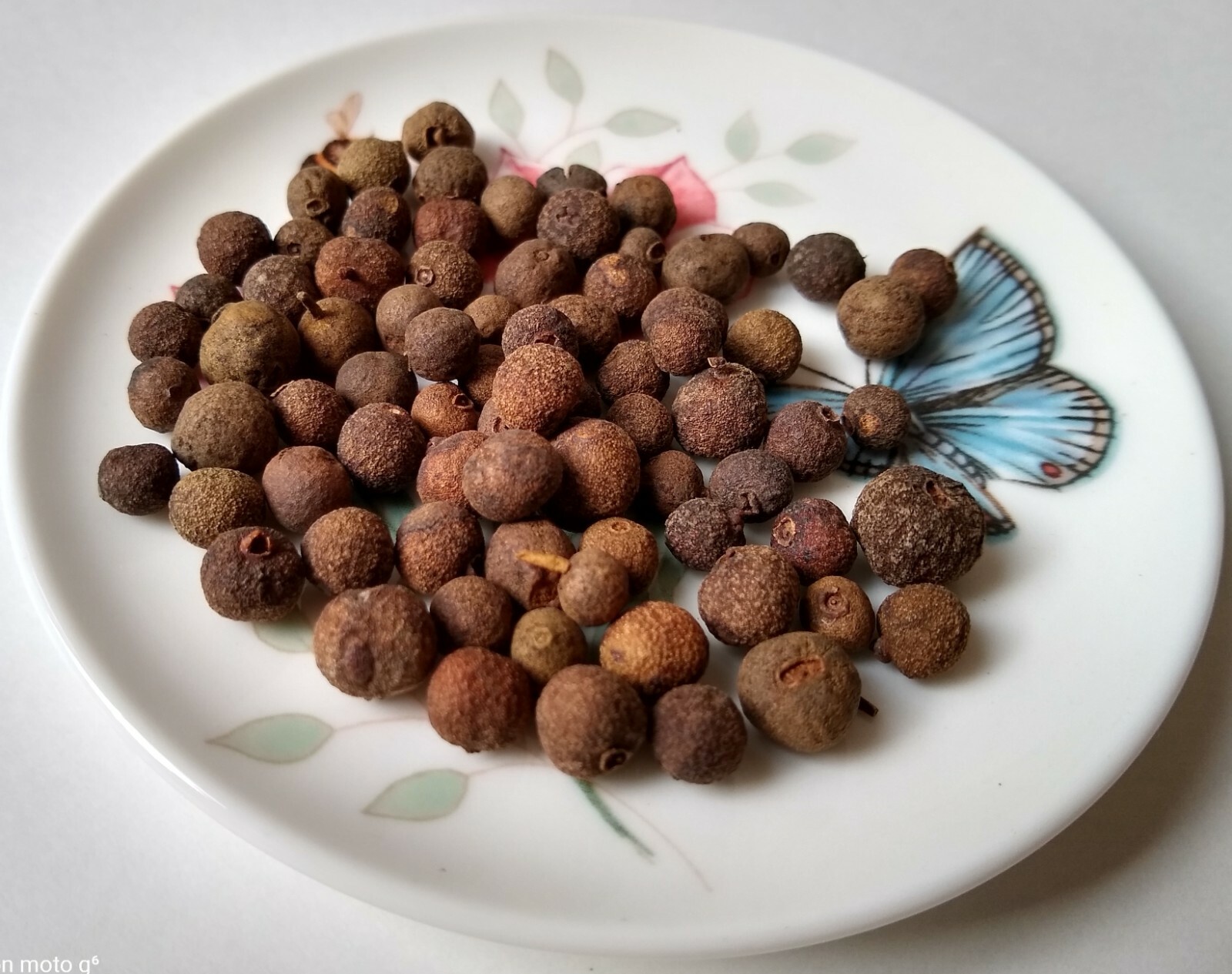 ALLSPICE BERRIES WHOLE GUATEMALA 1 OZ - 2 LB RESEALABLE BAG gallery
