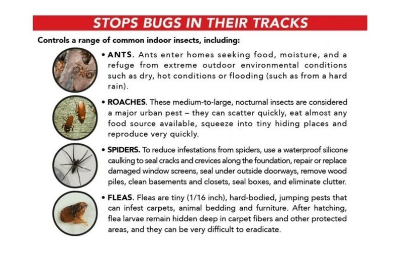Eliminator Ant, Roach & Spider Killer4, Aerosol Spray, 2/20-Ounce gallery