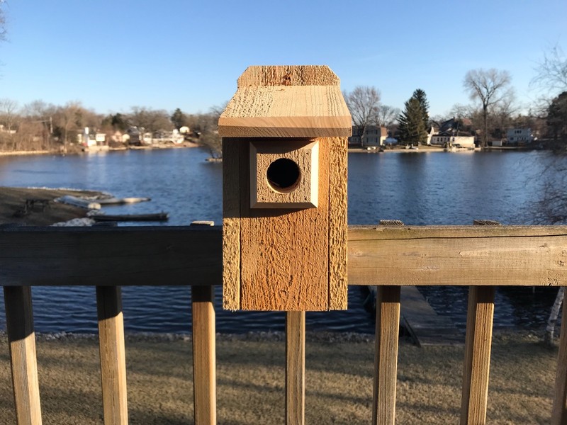 Cedar Bluebird Bird House 3/4" THICK Cedar Birdhouse! Predator Guard TOP SELLER gallery