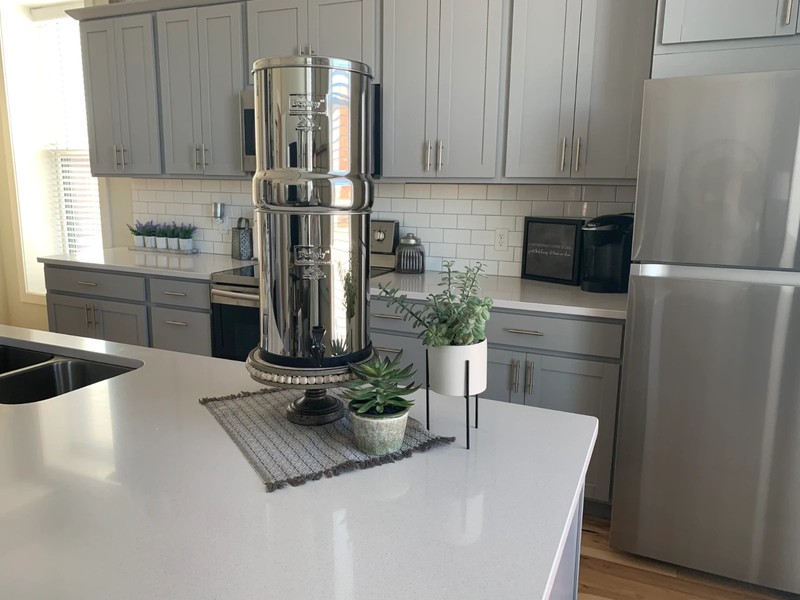 Royal Berkey Unit- w/ BOROUX. foundation. Black Filters gallery