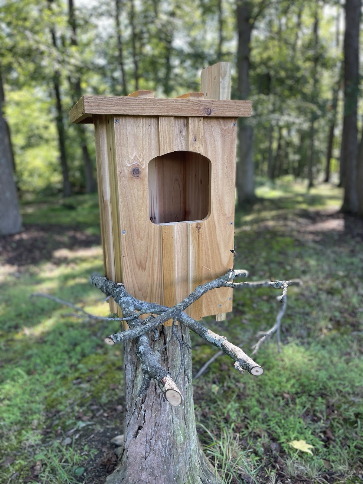 Cedar Barred Owl Nest Box Unfinished gallery
