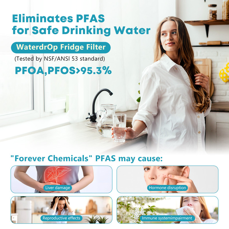 2 Pack Refrigerator Water Replacement Filter P1WB2 W10121145 gallery