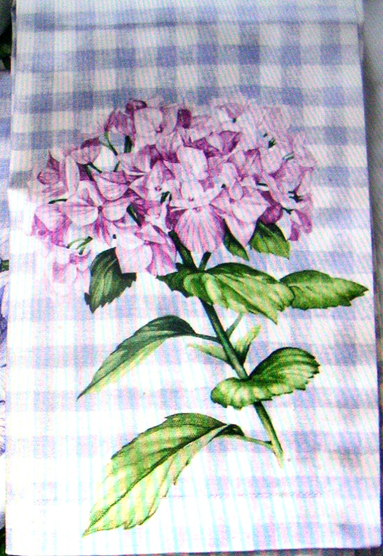 WILLIAMS SONOMA HYDRANGEA GINGHAM NAPKINS 100% COTTON TWILL SET OF 4 FOUR NWTAG gallery