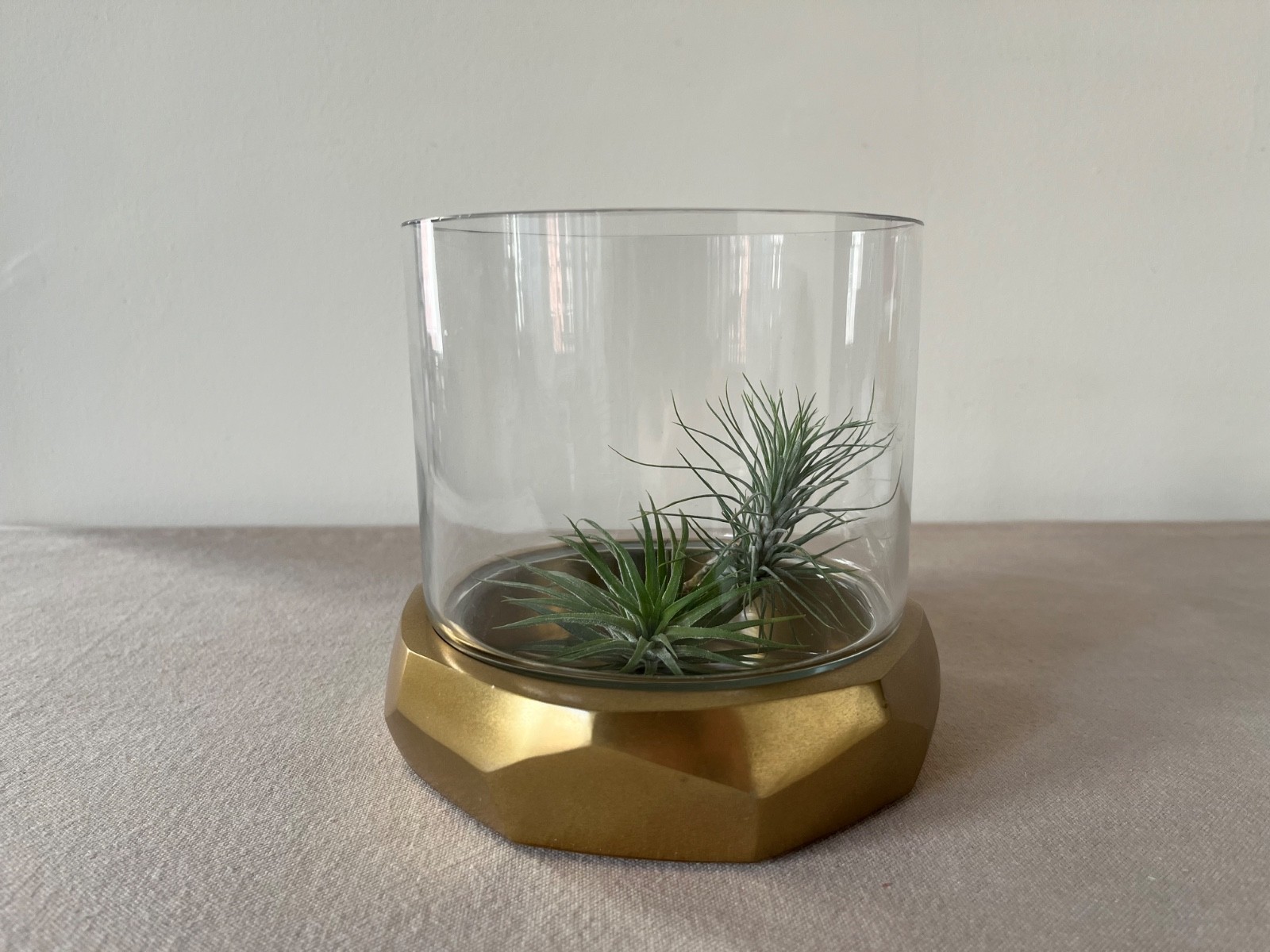 WEST ELM x ROAR & RABBIT Free Form Terrarium Small Glass & Faceted Brass Base gallery