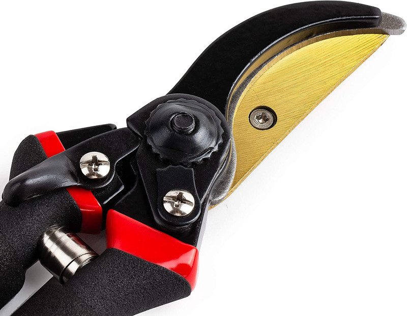 - Pruning Shears Garden Shears 8 Professional Titanium Blade Garden gallery