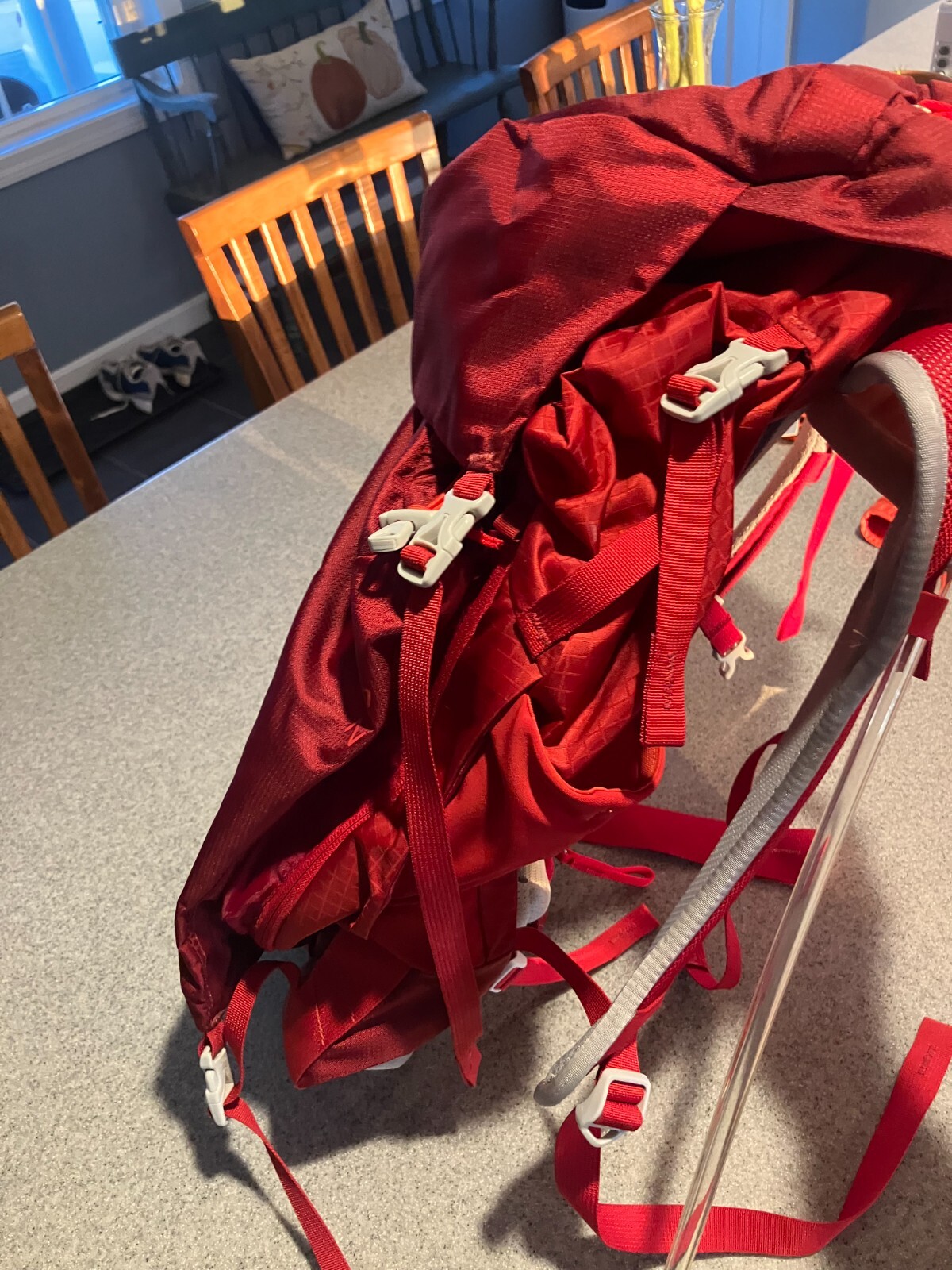 Gregory Z40 Backpack Red 26.76 Liter  2