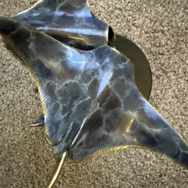 SPI Gallery San Pacific Inter. STINGRAY Solid Brass gallery
