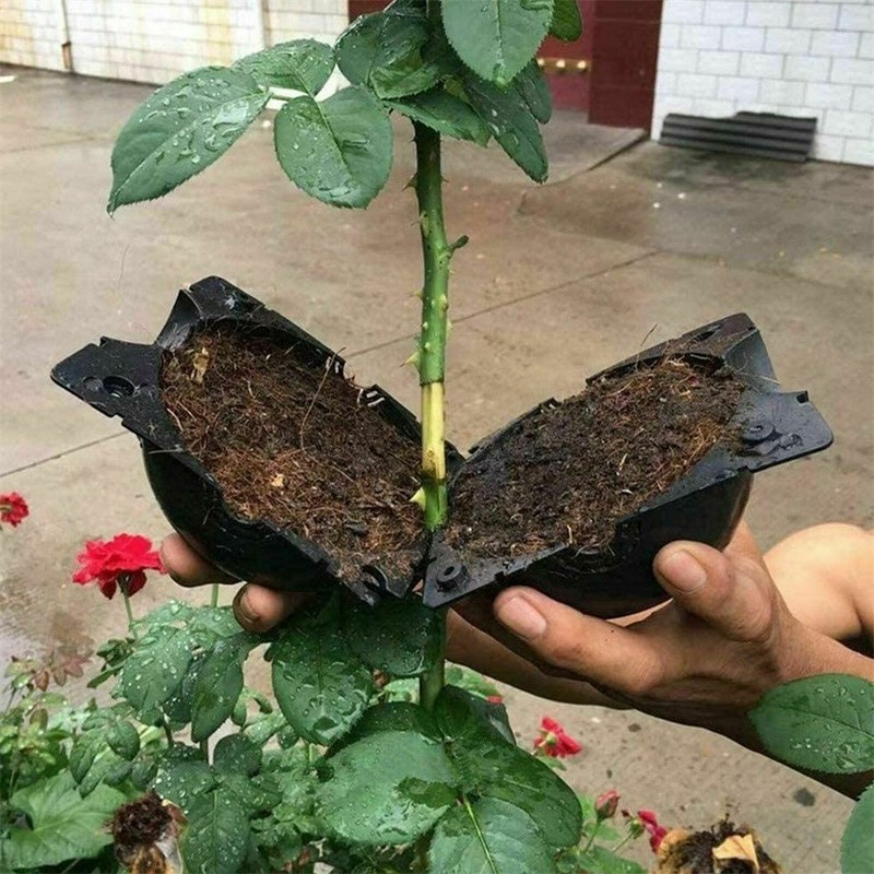 Multi-Size Plant Rooting Device Grow Graft Box High Pressure Propagation Ball gallery