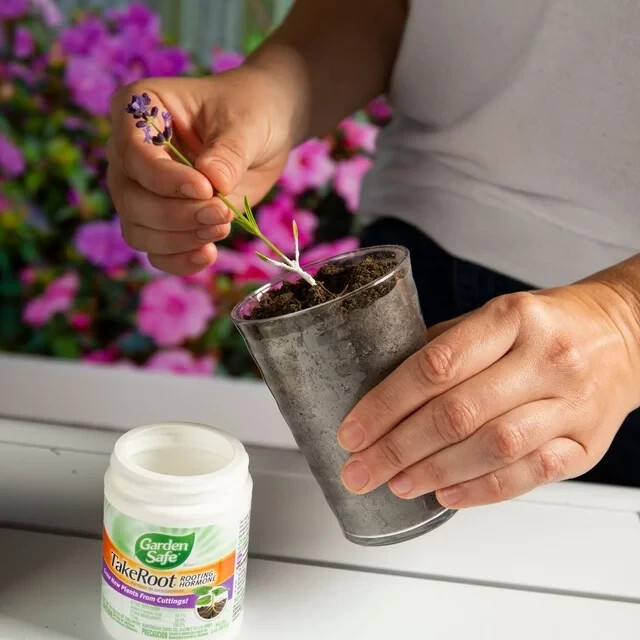Garden Safe TAKE ROOT | ROOTING HORMONE Grow New Plants From Cuttings YARD TREES gallery