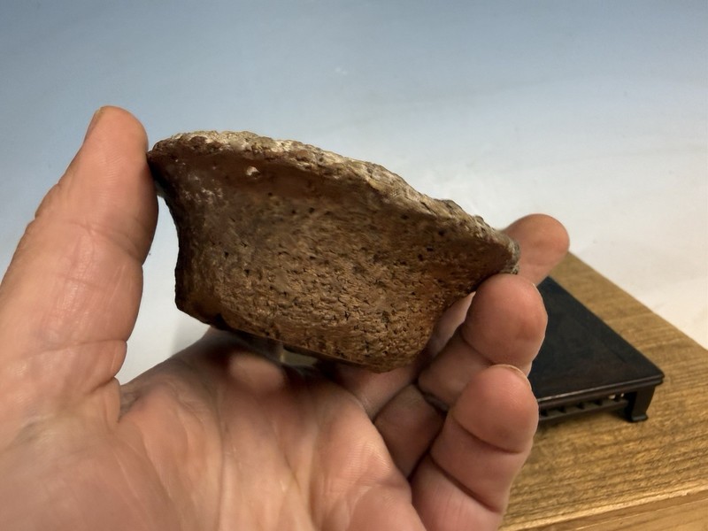 Japanese Unknown Maker Shohin Bonsai Tree Pot 3 1/2 By 1 1/4” Unique Unglazed gallery