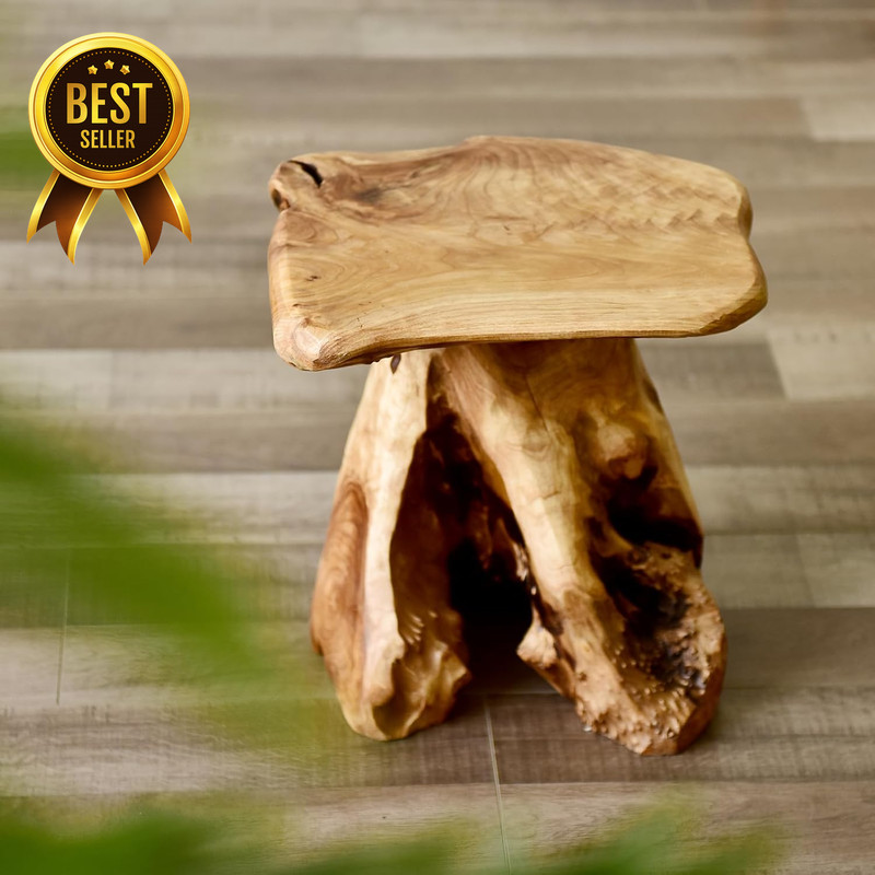 Natural Cedar Stump Stool, 14" End Table, Live Edge Side Table, Plant Stand, Sma gallery