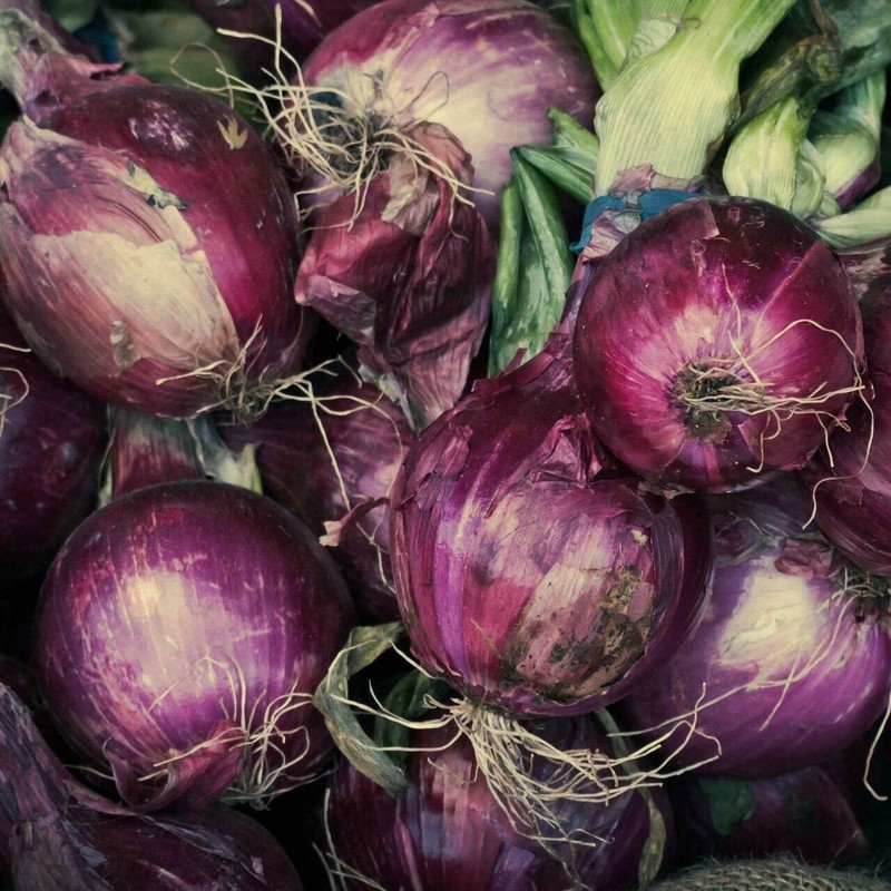 Ruby Red Onion Seeds, NON-GMO, Long Day, Variety Sizes, FREE SHIPPING gallery