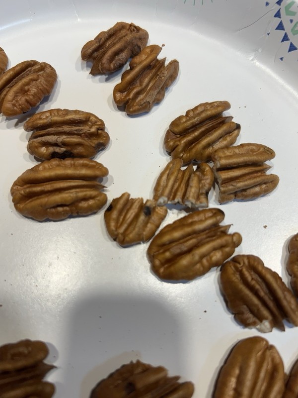 10 Lbs. 2025-2026 Squirrel Grade Pecans In The Shell, Not For Human Consumption gallery