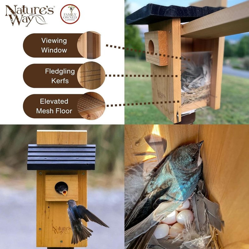 Cedar Bluebird House with Viewing Window & Predator Guard - 12" Tall gallery