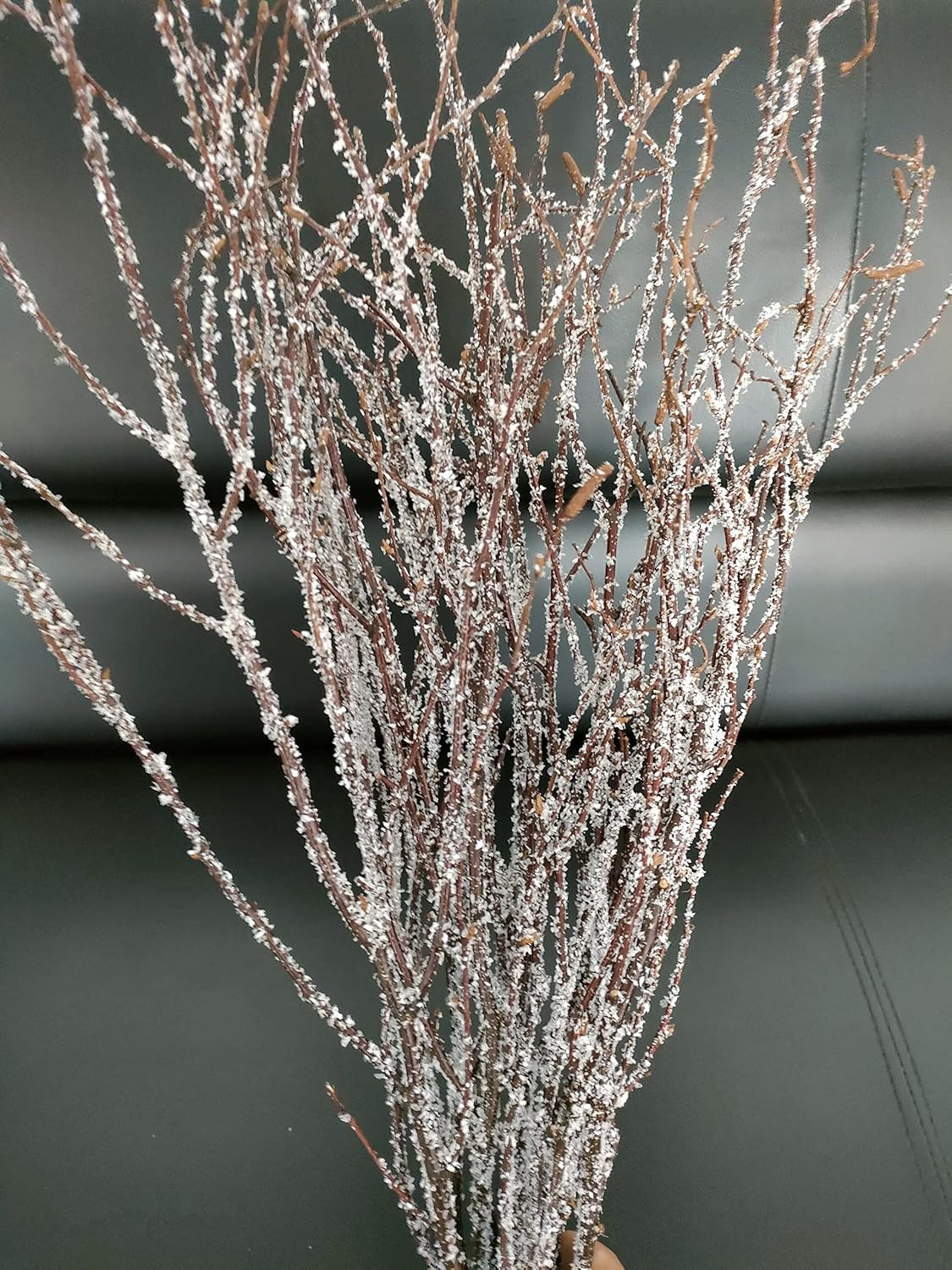 Decorative Birch Branches, 23 Inch Brich Stems for Wedding Decor,Dried Twigs for gallery